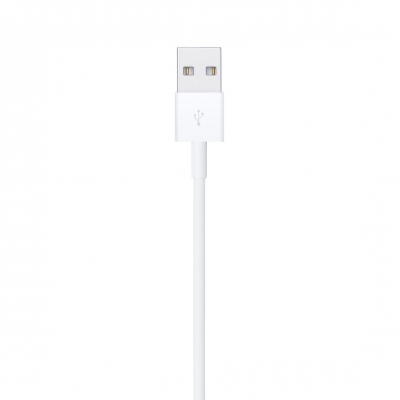 Lightning to USB Cable (0.5 m)