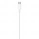 USB-C to Lightning Cable (1 m)